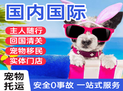 榆林榆阳航空物流国际宠物托运 【国